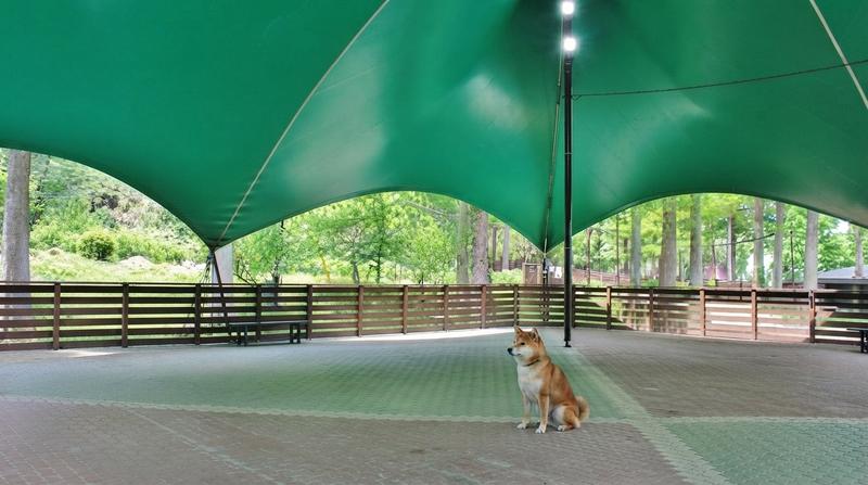 空模様に合わせて、屋根のあるランへ