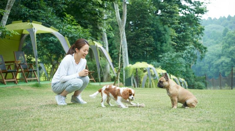 体格に合うエリアで、うちの子のペースに