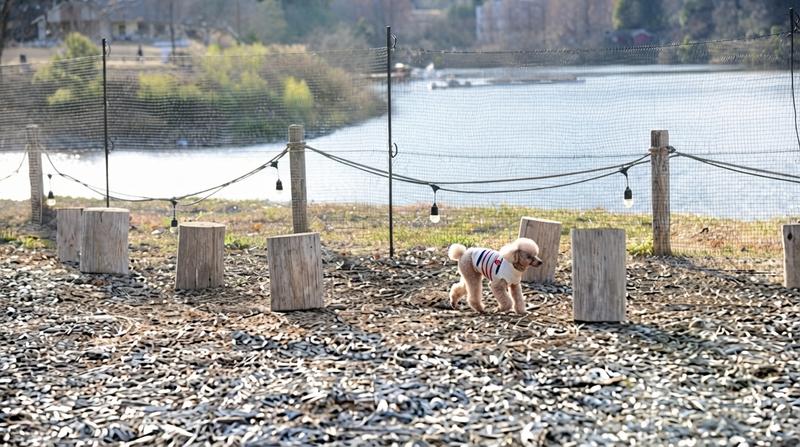 湖畔の散歩に、ランで遊ぶ時間を